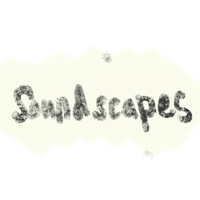 sunscapes logo on a black background